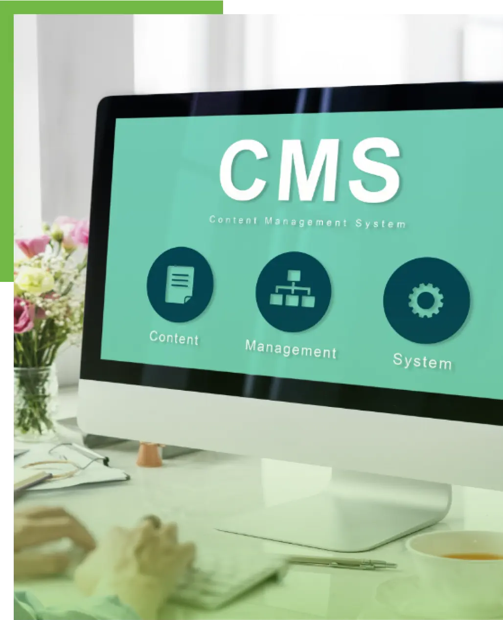 cms development